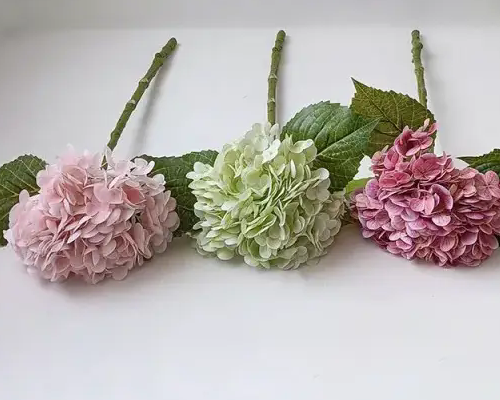 Hvordan vælger man den kunstige hortensia?