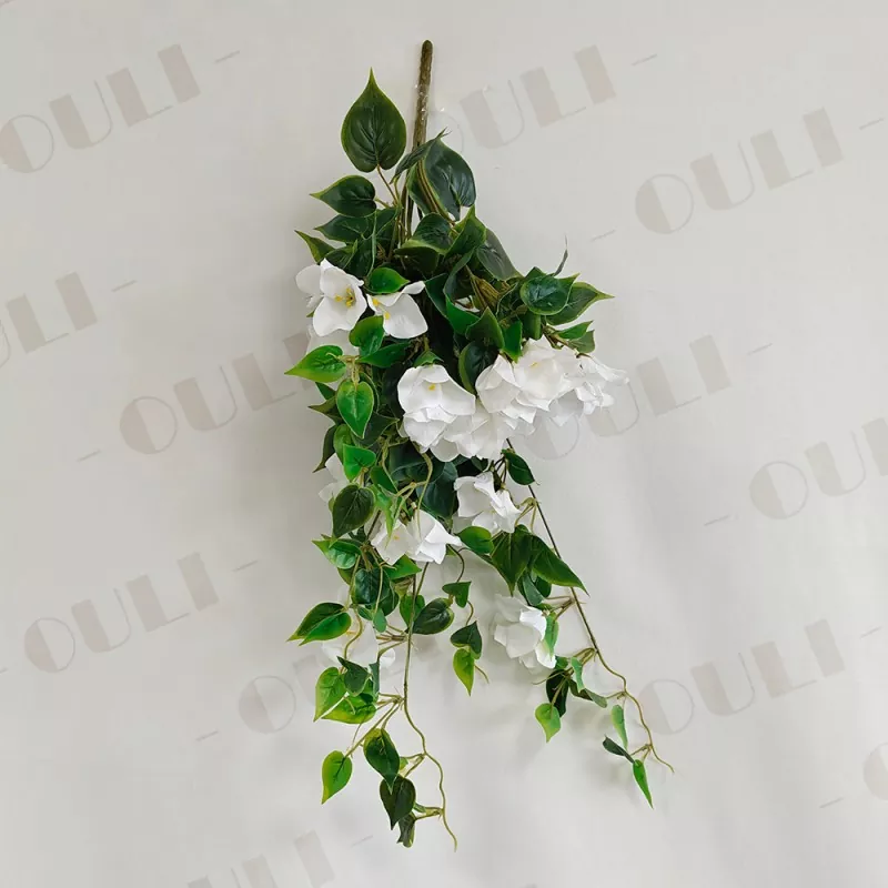 Falske bougainvillea hængende blomster