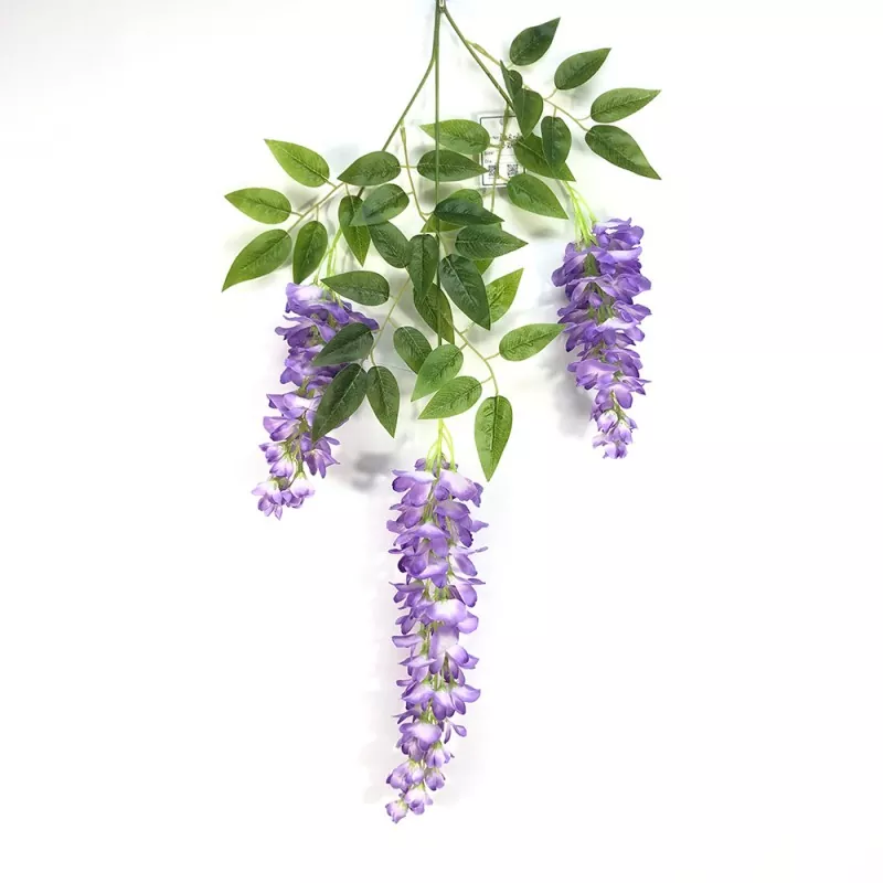Falske Wisteria -grene