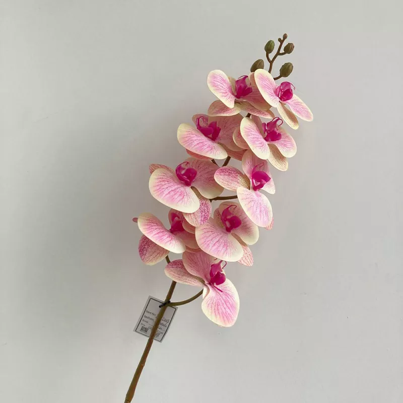 fake phalaenopsis orchid with leaves 