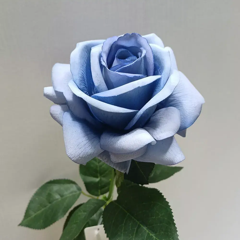 Latex ægte berøring kunstige roser blomster