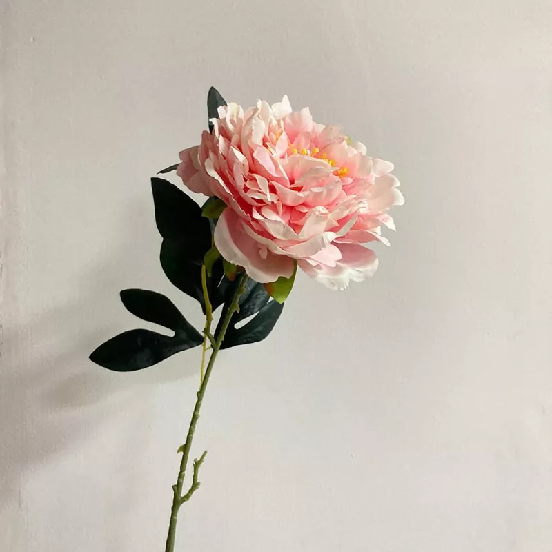 Lang enkelt stamme falske peony