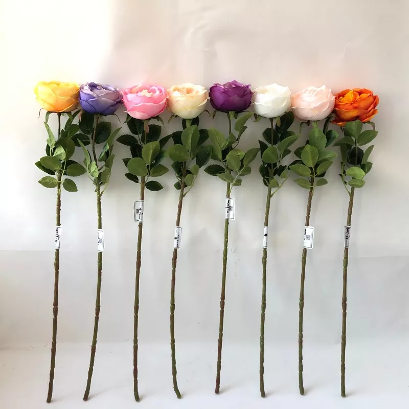 Hvide falske peony blomster