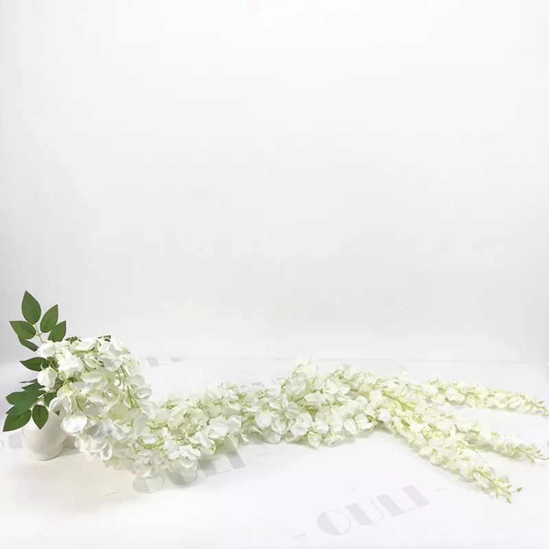 Hvide falske wisteria blomster
